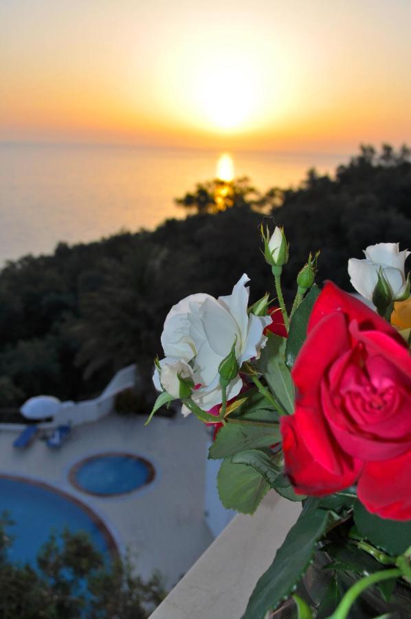 Holiday Apartments Maria With Pool And Panorama View - Agios Gordios Beach Εξωτερικό φωτογραφία